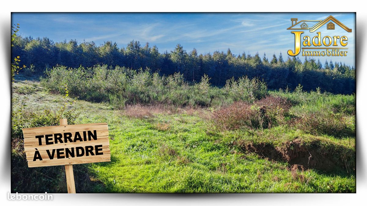 Terrain 1406 m² Saulcy-sur-Meurthe (image 1)