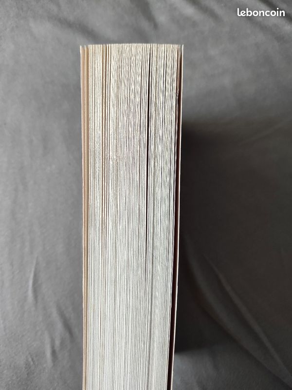 Hunger games l'embrasement (image 4)