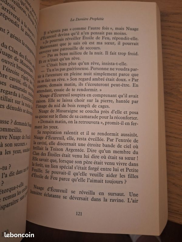 La Guerre des clans Aurore livre 3 (image 5)