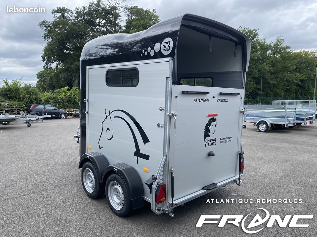 Cheval Liberte Location Camion Chevaux 44 Vente Aux Encheres Van - Main Image