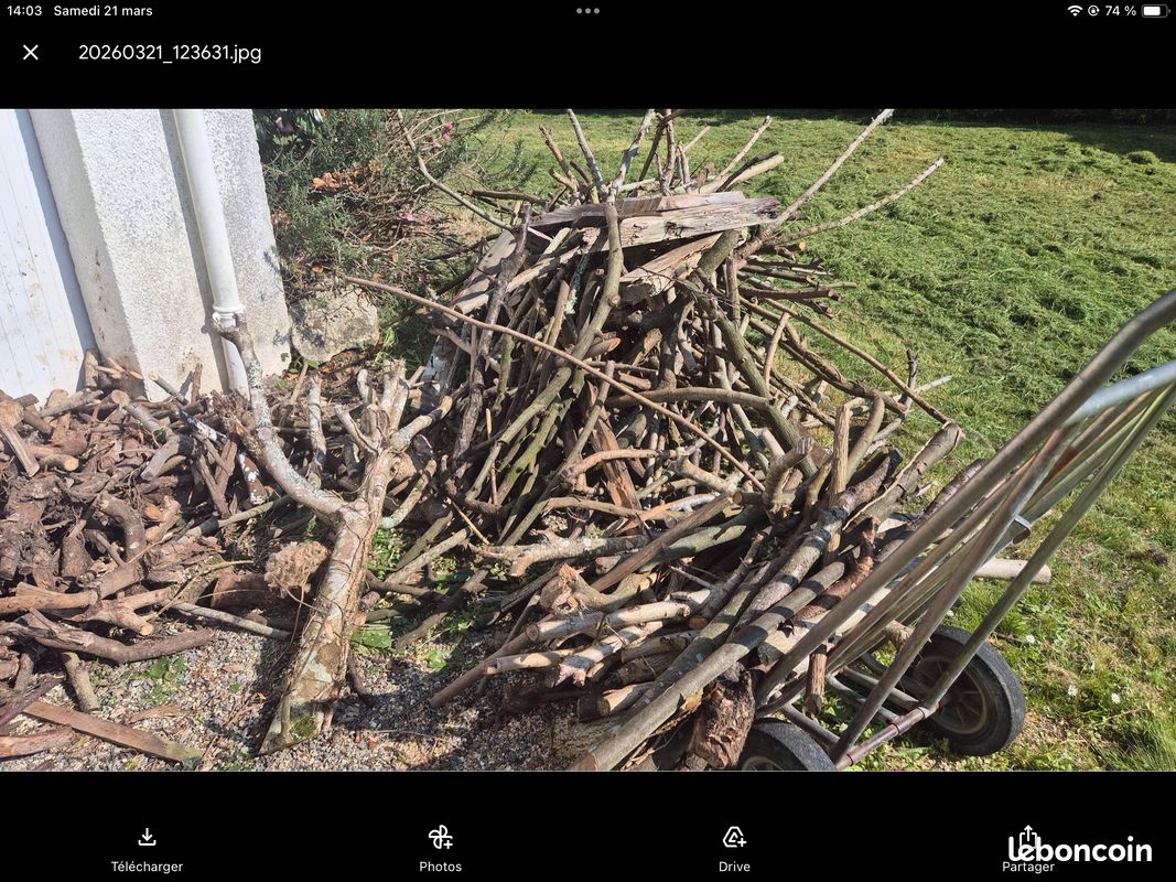 Bois (image 1)