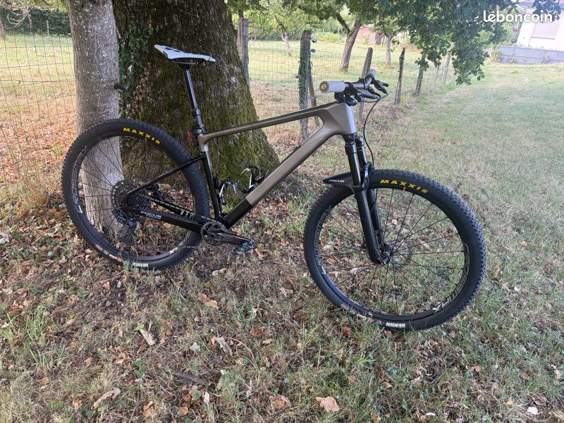 Focus Raven (image 2)