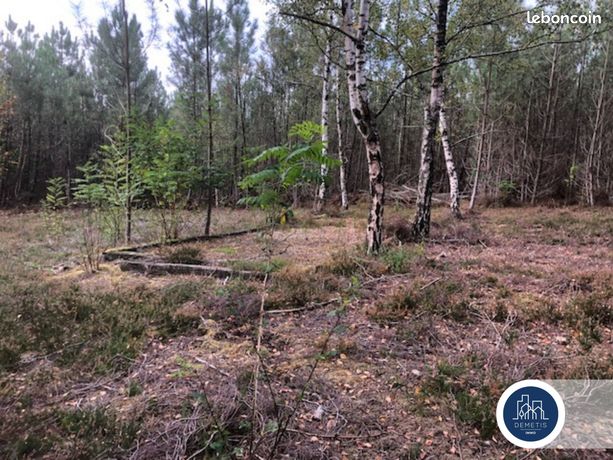 Terrain 1382 m² Mulsanne