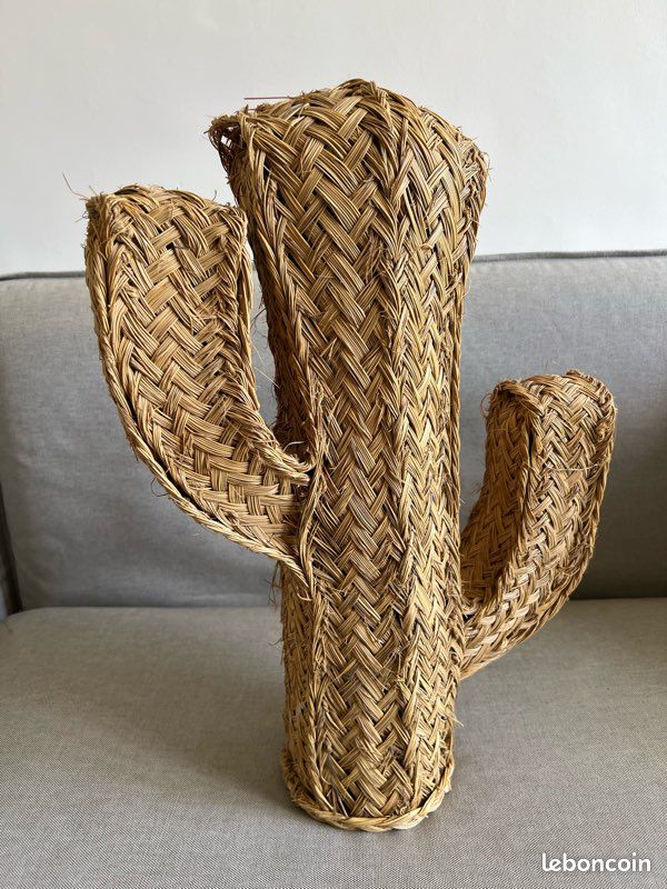 Cactus en osier 🌵 (image 1)