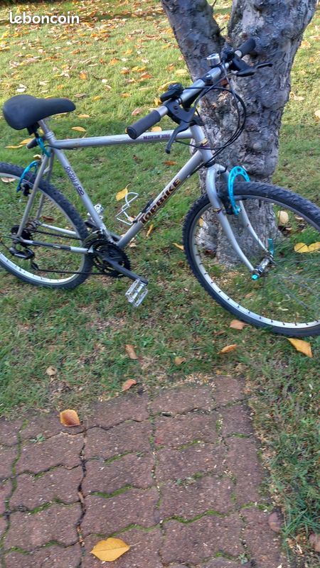 Velo Topbike Plian Avec Sac Bon Etat 50 Euros Combrailles 63380