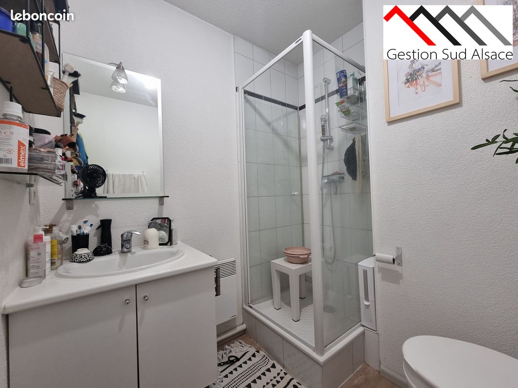 Appartement 2 pièces 31 m² (image 4)