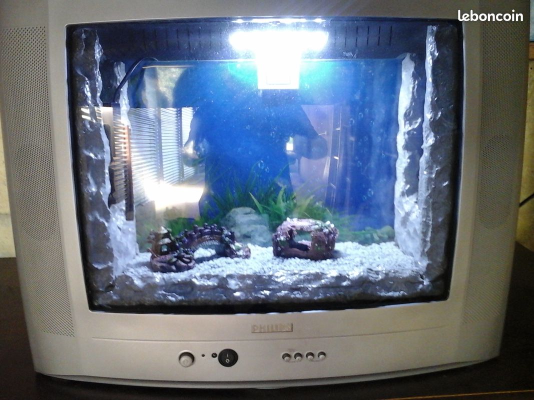 Aquarium (image 3)