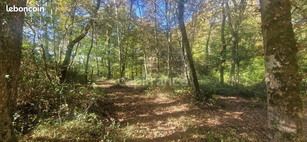 Terrain 12 555 m² Lagrange · 23 000 €