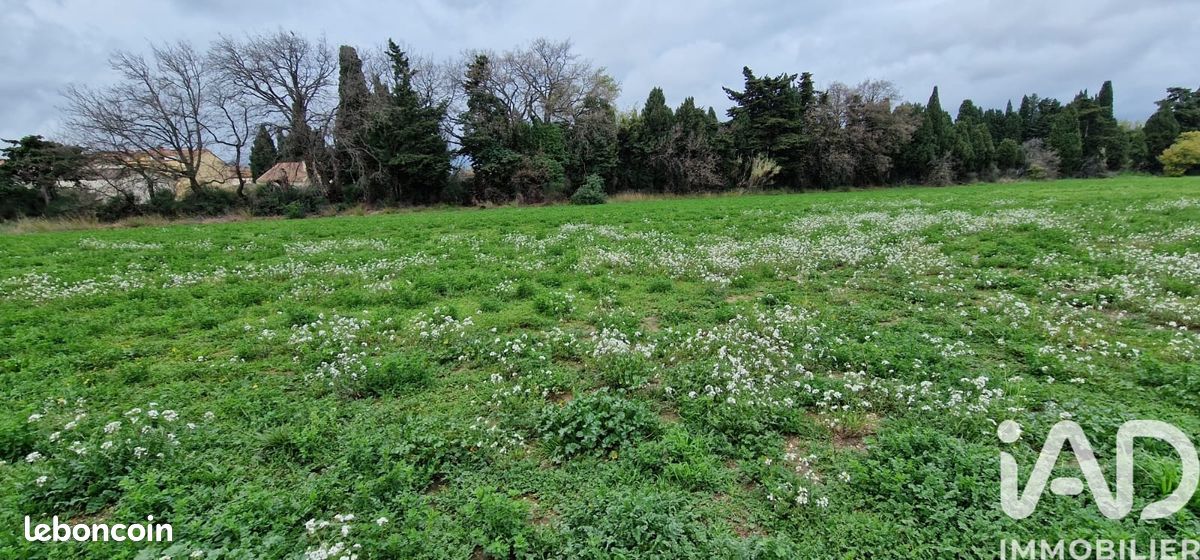 Terrain 329 m² Pézilla-la-Rivière (image 15)