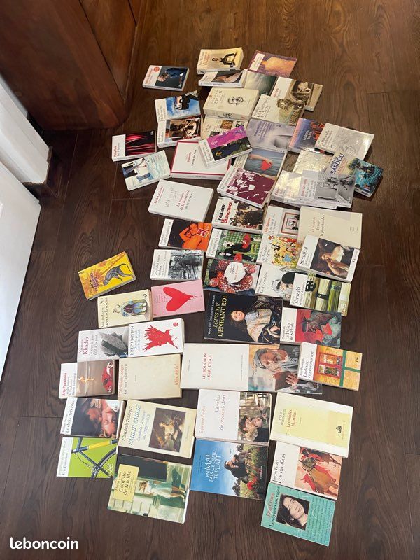 Lot de 60 livres de littérature format poche ou grand format tous auteurs lot ou unité (image 11)