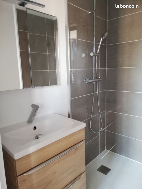 T1 secteur Mairie/Fac de Droit - Limoges 87000 Centre-Hôtel de Ville Emailleurs (image principale 2)