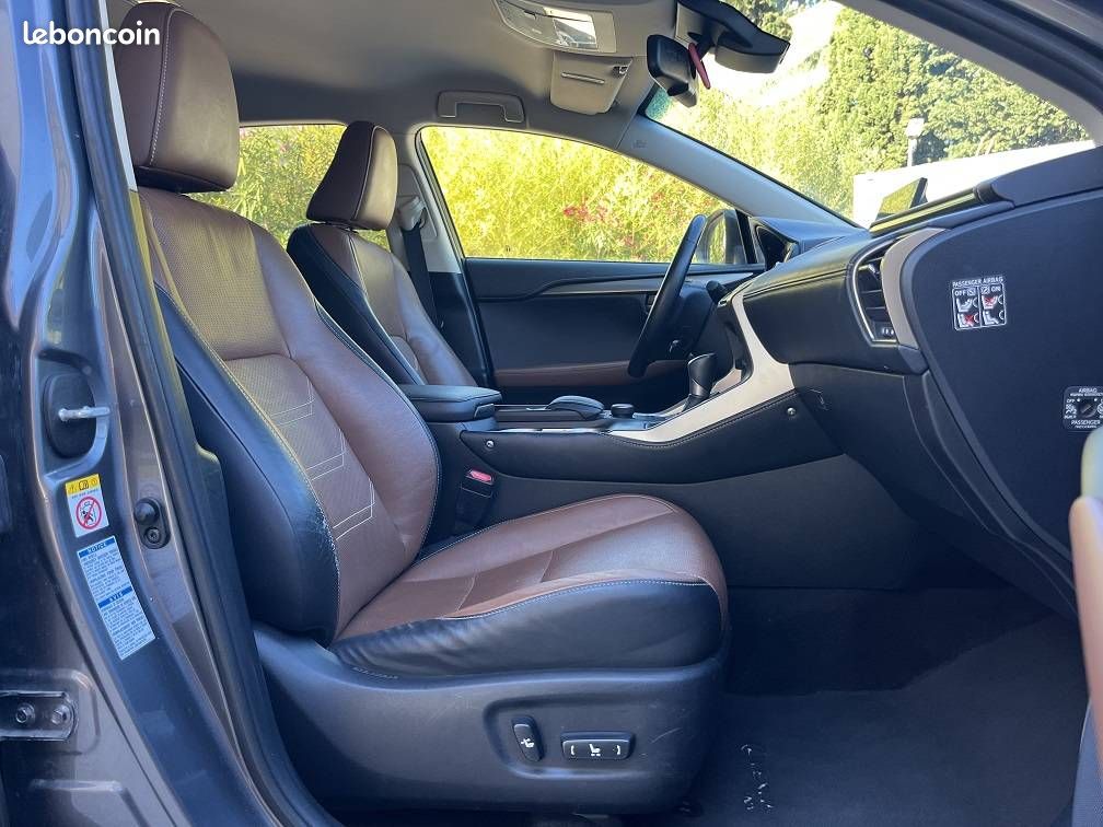 Lexus NX 300h 4WD Luxe (image 13)