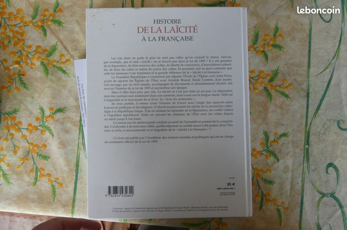 Histoire de la laïcité à la française, loi de 1905, Yves Bruley (image 9)