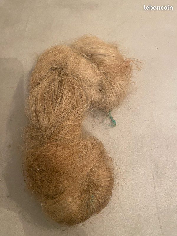 Filasse (image 1)