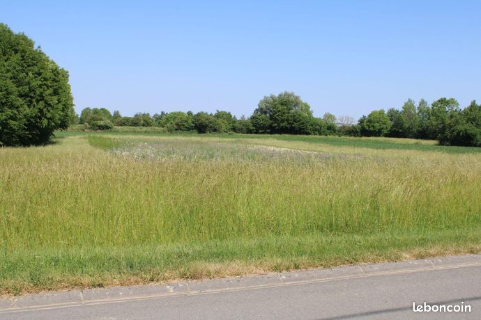 Terrain 6644 m² Froidmont-Cohartille