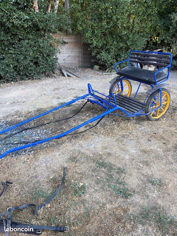 Calèche 2 roues (image 1)