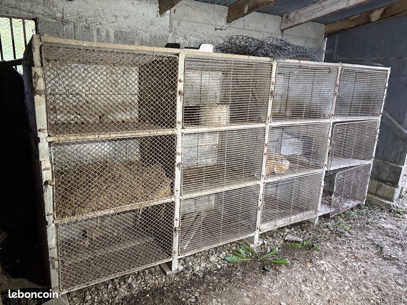 Clapiers lapin en béton en très bonne état (image 1)