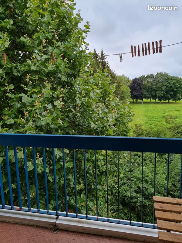 Appartement 1 pièce 30 m² · à Metz · 30 m² · 600 €/mois