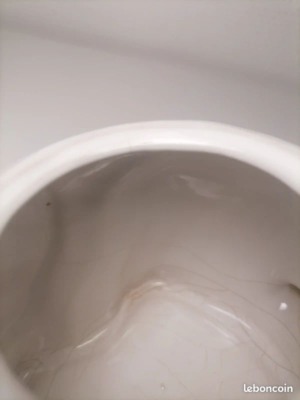 Théière zoomorphe blanche , vintage éléphant faïence (image 6)