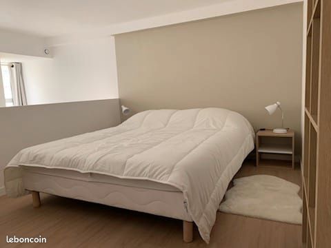 Appartement a louer oullins-pierre-benite - Surfyn