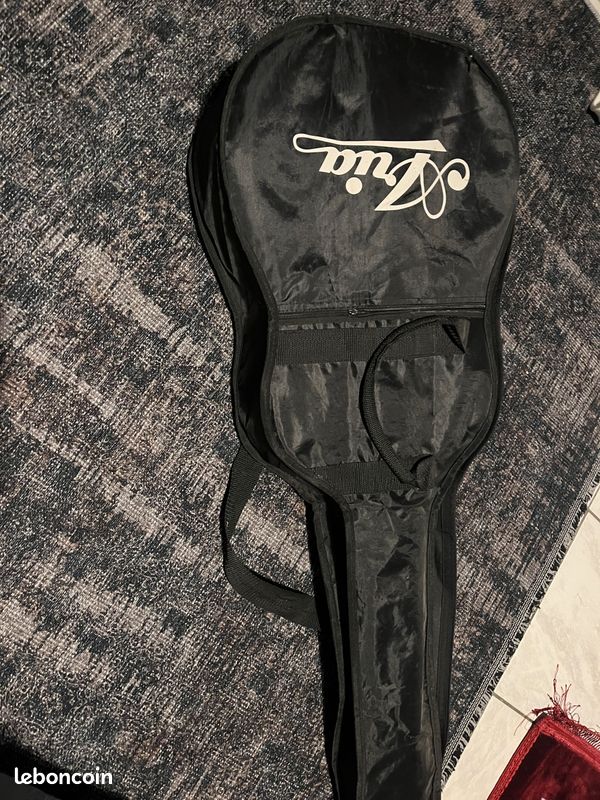 Guitare ARIA SINCE 1956 (image 1)