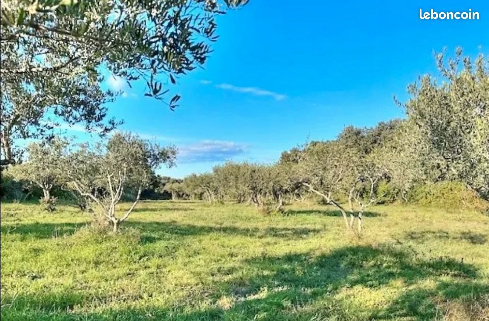 Terrain 1700 m² · à Saint-Siffret · 315 000 €