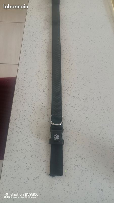 Collier Active Dog 44-55cm (image 1)