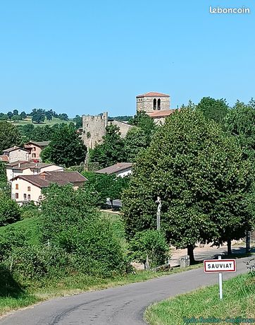 Terrain 4 580 m² Sauviat