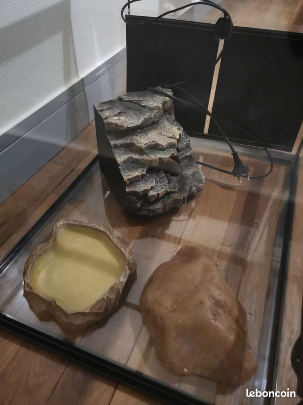 Terrarium (image 3)