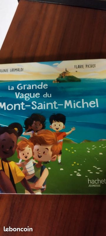 La grande vague du mont saint Michel (image 2)