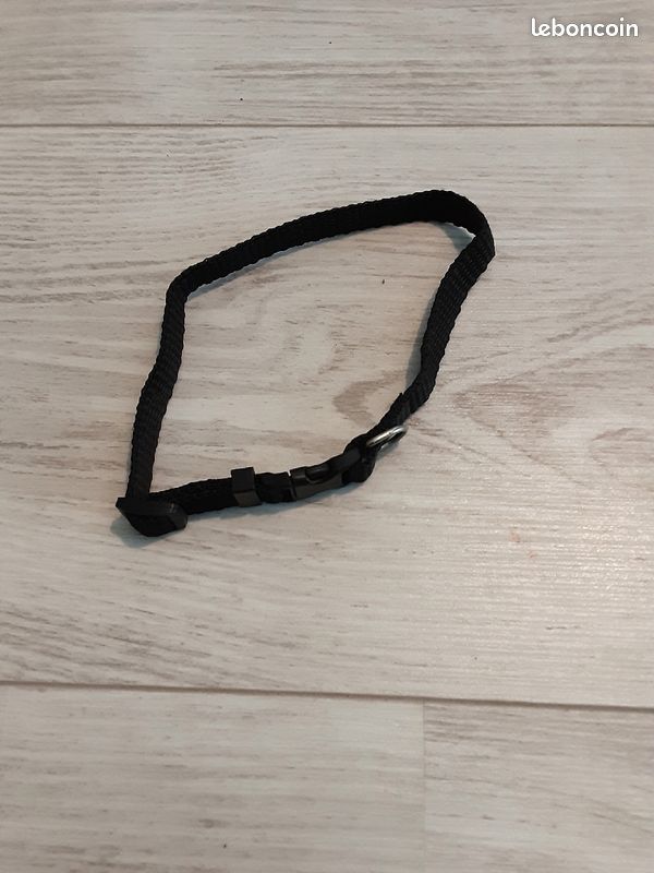 Collier noir chat ou petit chien (image 1)