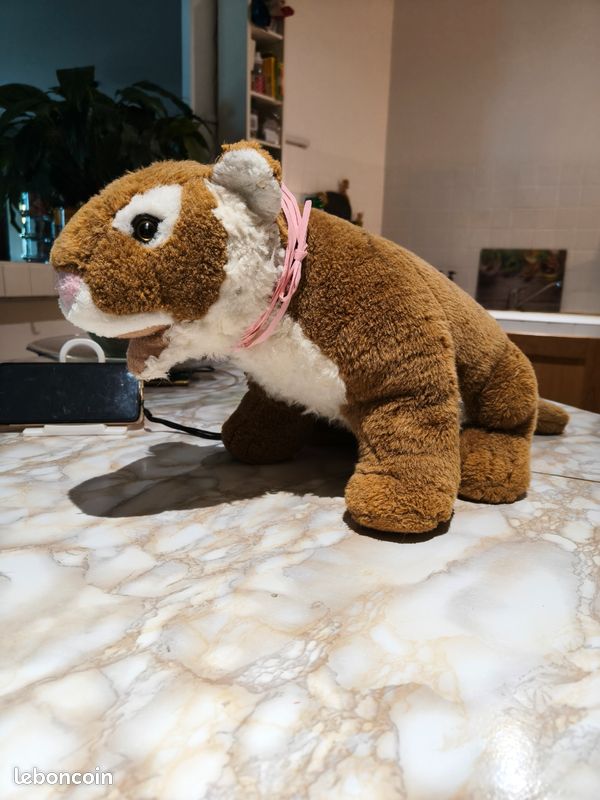 Peluche (image 1)