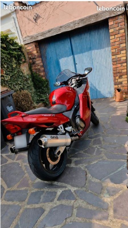 Honda CBR 1100 SUPER BLACKBIRD (image 3)