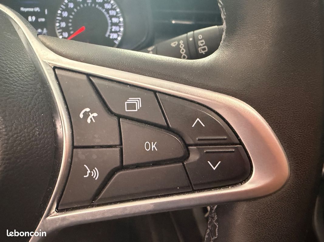 Renault CLIO V 5 Portes 1.0 TCe 100Ch GPL Business Edition - 2EME MAIN / CARPLAY / RADAR DE RECUL / CLIMATISATION AUTOMATIQUE (image 15)
