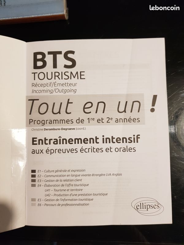BTS Tourisme Réceptif/Émetteur Tout en un (image 3)