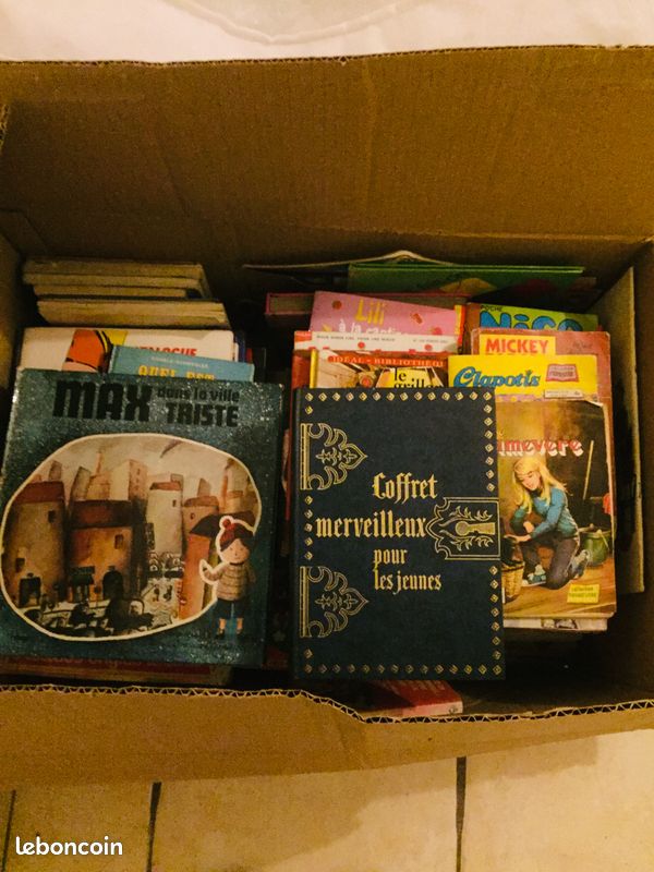 Grand lot livres pour tout petit ou enfant (lot 15) (image 6)