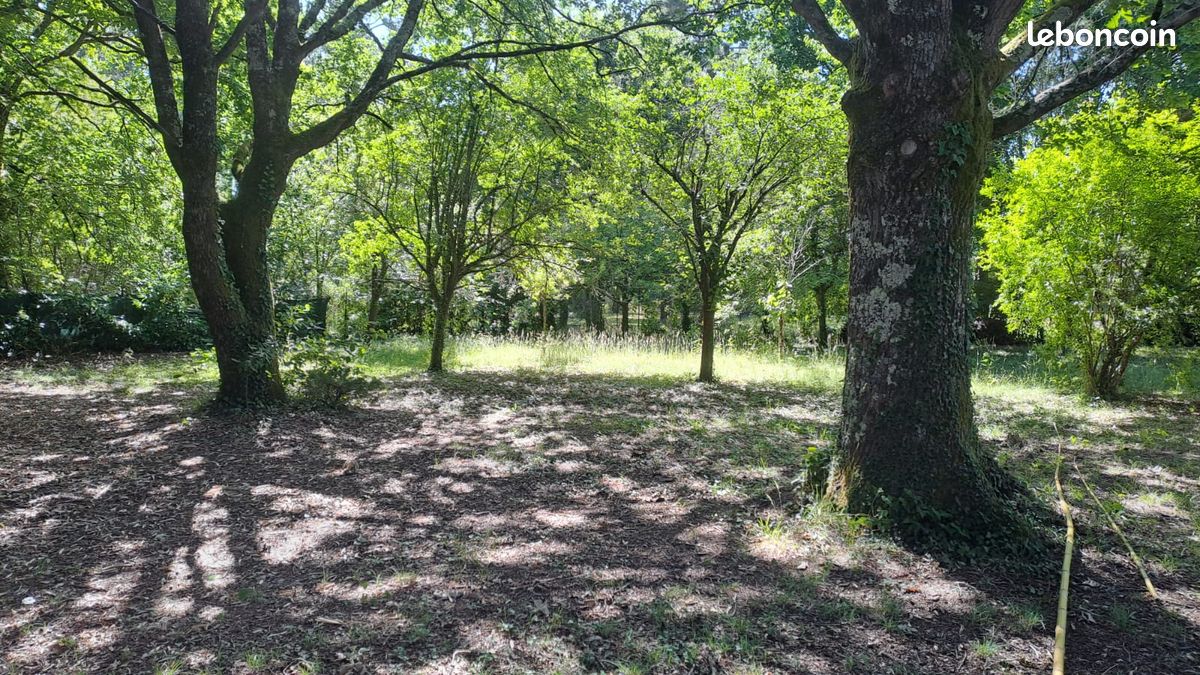 Terrain 1768 m² · à Breuillet · 1 768 m² · 29 000 €