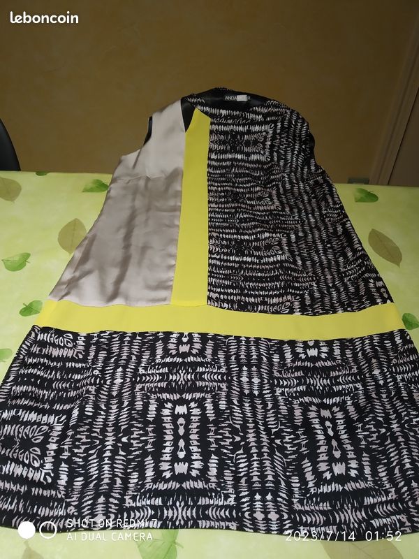 Robe Femme taille 42 (image 3)