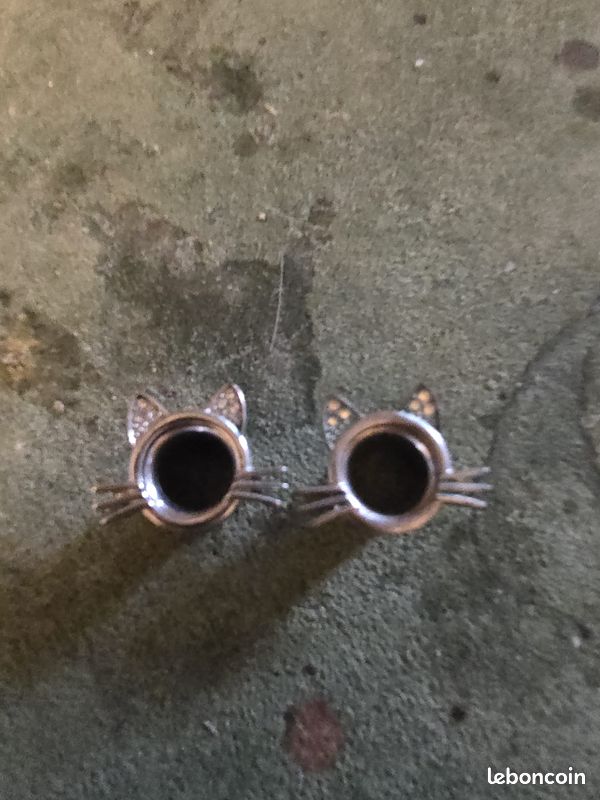Paire écarteur oreille 10 mm (image 1)