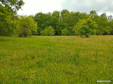 Terrain agricole 35 mn de bodeaux proche des plages · à Carcans · 406 000 €