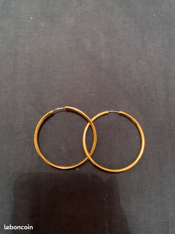 Boucle d’oreille (image 1)