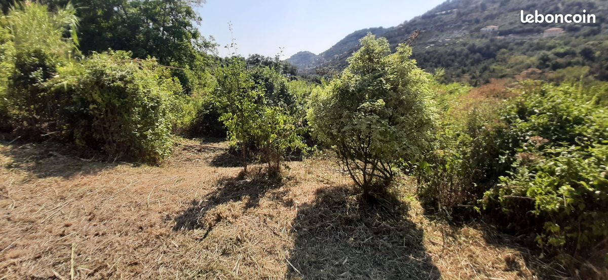 Terrain 1.6ha constructibles, viabilise. 149.000 · à Menton · 149 000 €