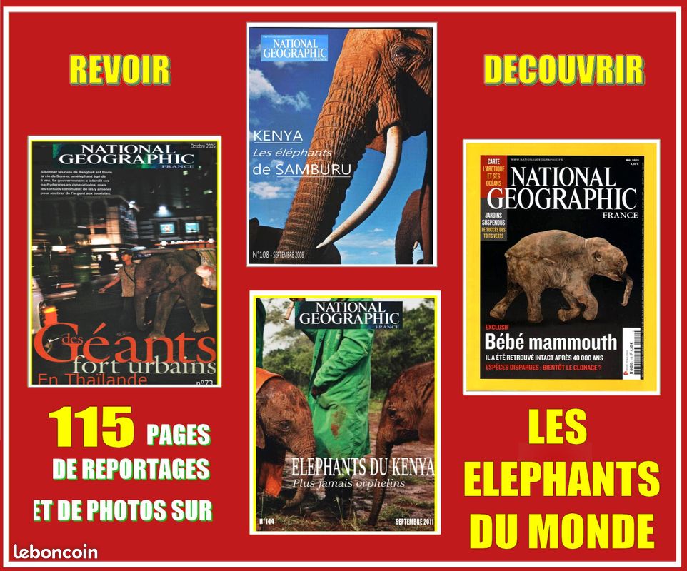 LES ELEPHANTS - découvrir - DU MONDE (image 1)