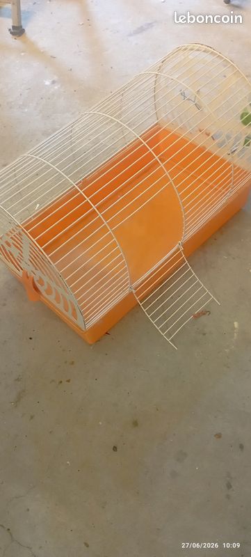Cage rongeur (image 1)