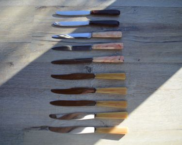 COFFRET 12 BEAUX couteaux table anciens vintage Manche Corne RYCKBOSCH