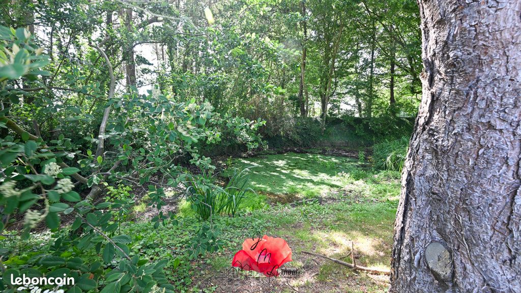 Propriété 7 pièces 172 m² (image 27)