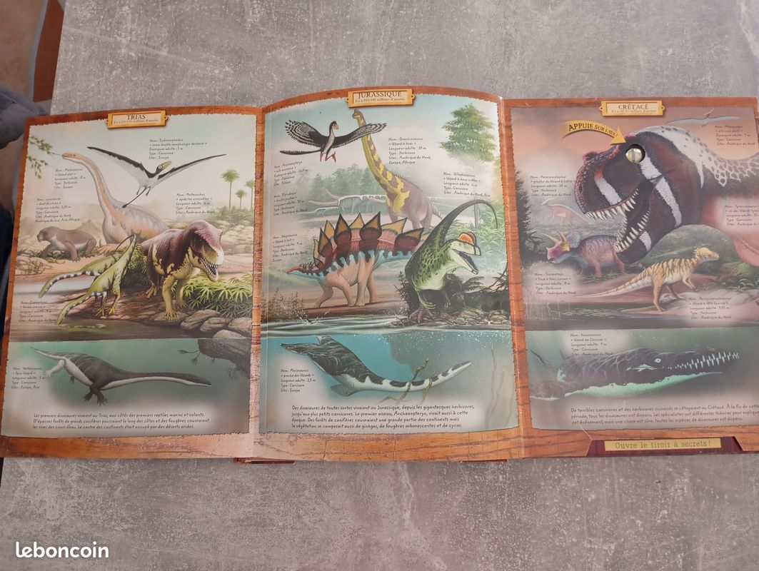 Livre dinosaure (image 3)