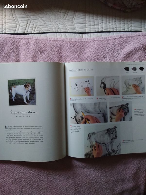 Livre sur les techniques du dessin (image 1)