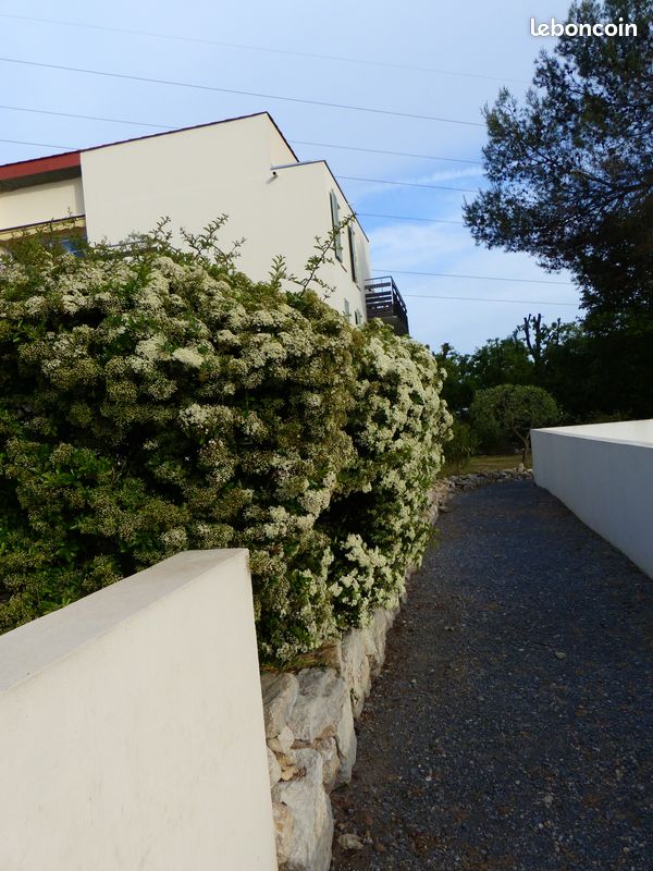 Appartement 3 pièces 66 m² · à Valbonne · 66 m² · 1 600 €/mois