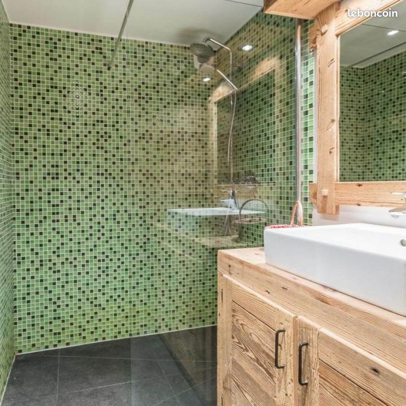 Superbe Chalet alpin 4* dans cadre exceptionnel (image 10)